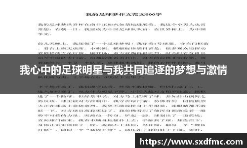 我心中的足球明星与我共同追逐的梦想与激情